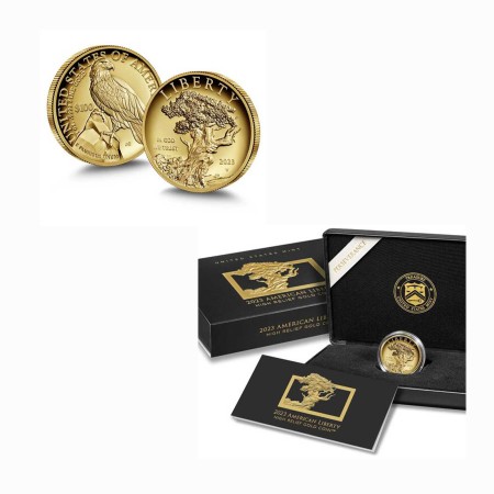 USA $ 100 American Liberty High Relief Gold 2023